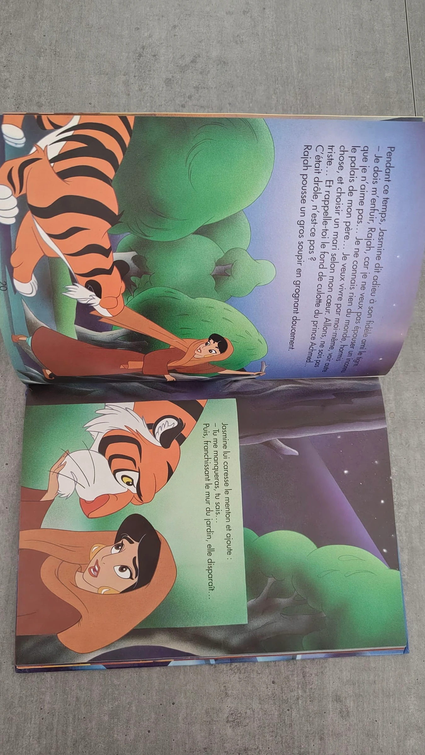 Livro Aladdin - Walt Disney – photo 4